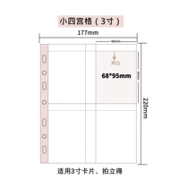 10 фотографий (3 дюйма) маленькой четырех дворцовой сетки