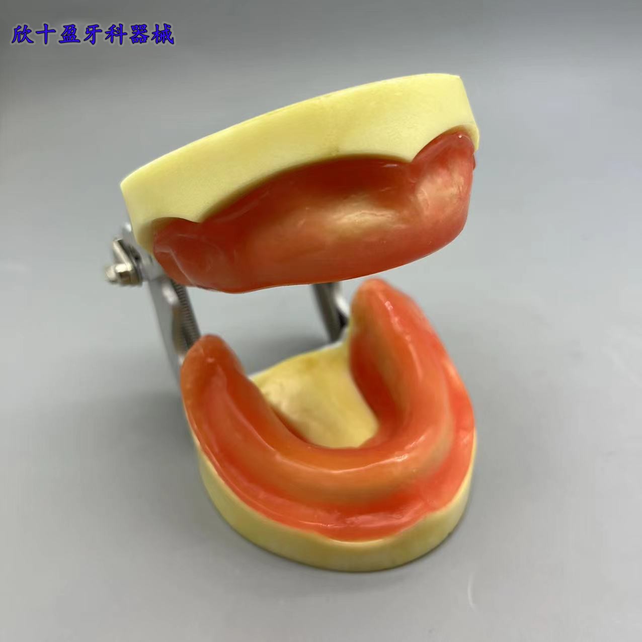 缺牙种植模型 下颌练习缺失牙膜 练习上颌窦齿科耗材工具软牙龈