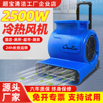 Chaobao blow dryer CB900R hot and cold hair dryer commercial high-power floor blower toilet carpet drying floor blower