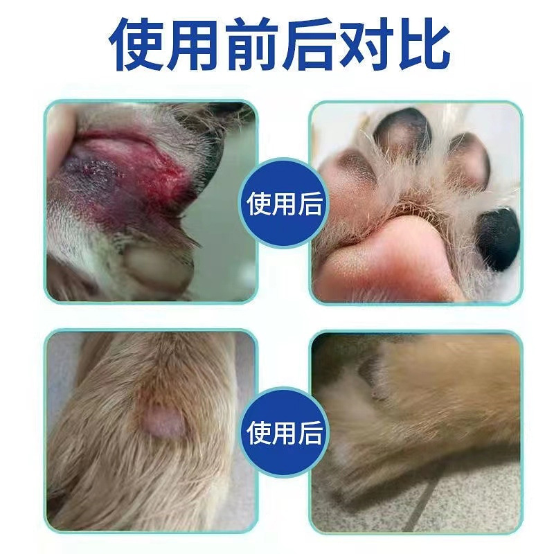 拜诺得肛炎趾康：宠物趾间炎症护理的秘密武器