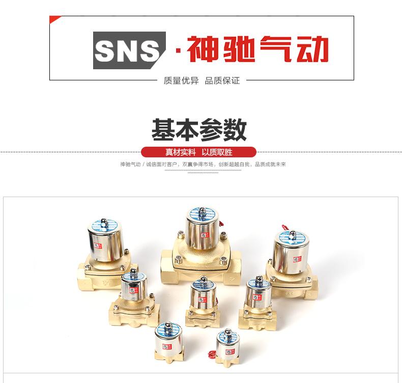SNS Shenchi Dụng cụ khí nén Dòng 2WG Nhiệt độ cao Van nước Đồng đầy đủ Van điện từ chất lượng Đồng thau - Công cụ điện khí nén
