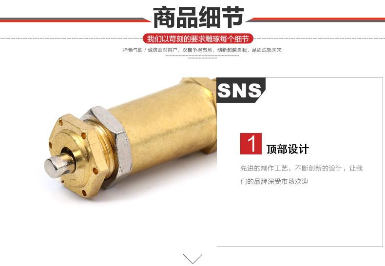 SNS Shenchi Dụng cụ khí nén Van an toàn Van giảm áp tác động trực tiếp Dòng BV đầy đủ - Công cụ điện khí nén