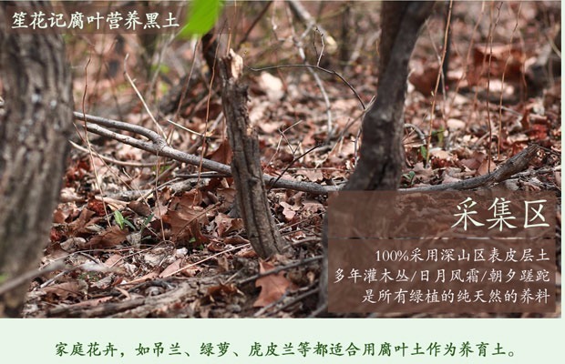 Đất mùn mùn đất dinh dưỡng trồng hoa trồng rau sâu núi đen đất hữu cơ làm vườn vô trùng bình tưới cây