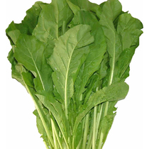 Sesame Vegetable Seed Wild Vegetable Lettule Salad Vegetable hot pot Rapeseed Family Easy to grow Balcony Potted Vegetable Seeds