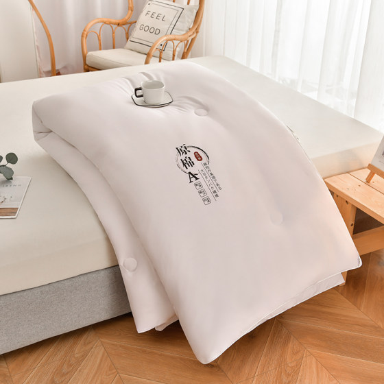 Winter Soybean Fiber Quilt Core, Dormitory Single Student Quilt, Thickened and Warm, Spring and Autumn Cotton Quilt, Suitable for All Seasons