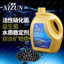Xizun nitrifying bacteria probiotics water quality stabilizer digestion live bacteria vitamin energy source fish supplies