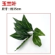 Cây xanh tường mô phỏng cây trang trí tường phòng khách nội thất nền hoa tường màu xanh lá cây treo tường nhựa giả ban công - Hoa nhân tạo / Cây / Trái cây hoa giả treo tường
