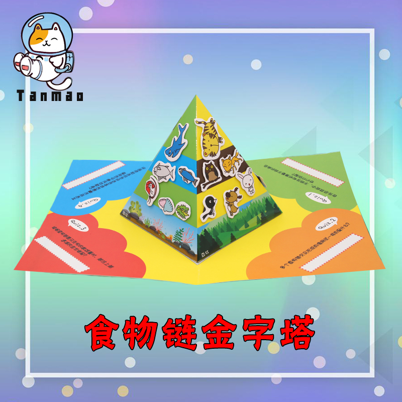 Food chain Biochemical Pyramid Animal World Science and Technology Making Toys Students Hand DIY Material