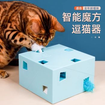 Two lucky cubs toy cat flirting sticks