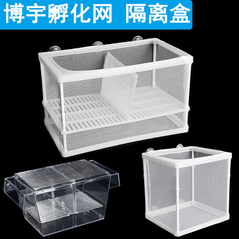 Ornamental fish tropical small lamp corfish water in isolation case juvenile fish hatchery hatchery fry protective case hatching net