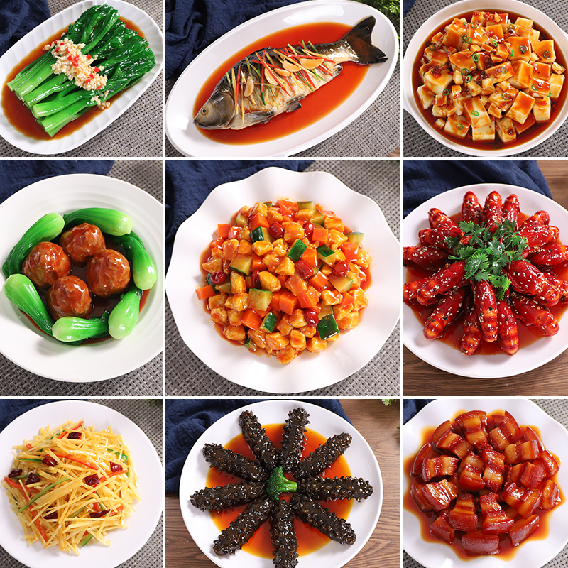 Fake dish sample simulation dish model simulation food food model Simulation food model customization