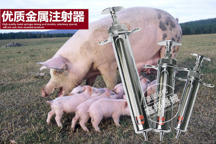 打猪的针管图片,给猪打针的针管图片,针管图片打针_大山谷图库