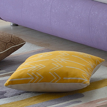 With product xiao bao zhen pillow