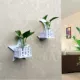 Kệ tường tường hoa đứng cây thủy canh tường treo tường trang trí phòng ngủ phòng khách thủy tinh chậu hoa bình hoa - Vase / Bồn hoa & Kệ