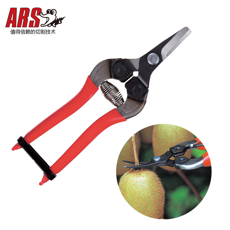Japan imports Alice ARS grape fruit picking scissors citrus scissors oranges fruits and vegetables head scissors picking fruit scissors orchard