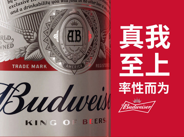 百威 经典醇正啤酒 450ml*20听 图1