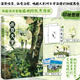 Printed and signed version丨In the summer, Xinglihui, a comic story about friendship, the hot and dazzling you come to me like the sun, fresh, beautiful, warm and healing comics, genuine comics