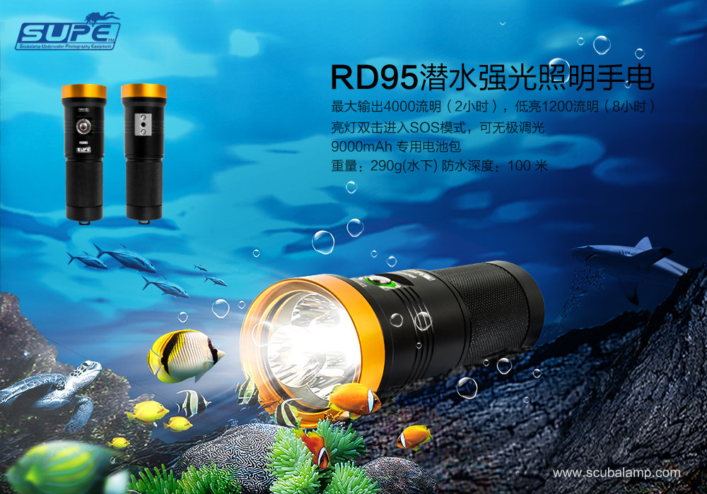 RD95 Китайский плакат