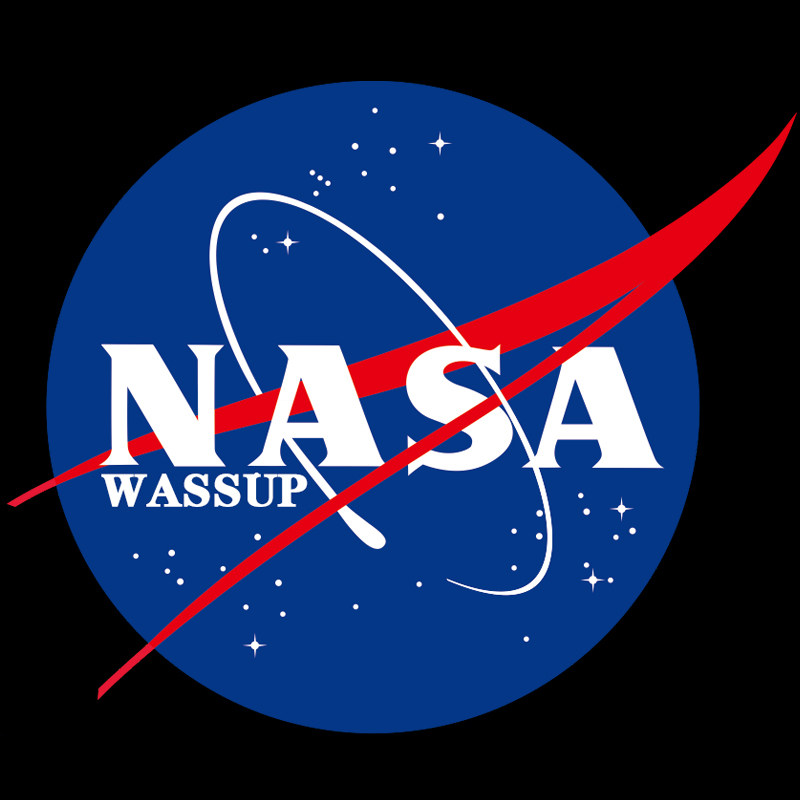 NASA联名潮牌童装的LOGO