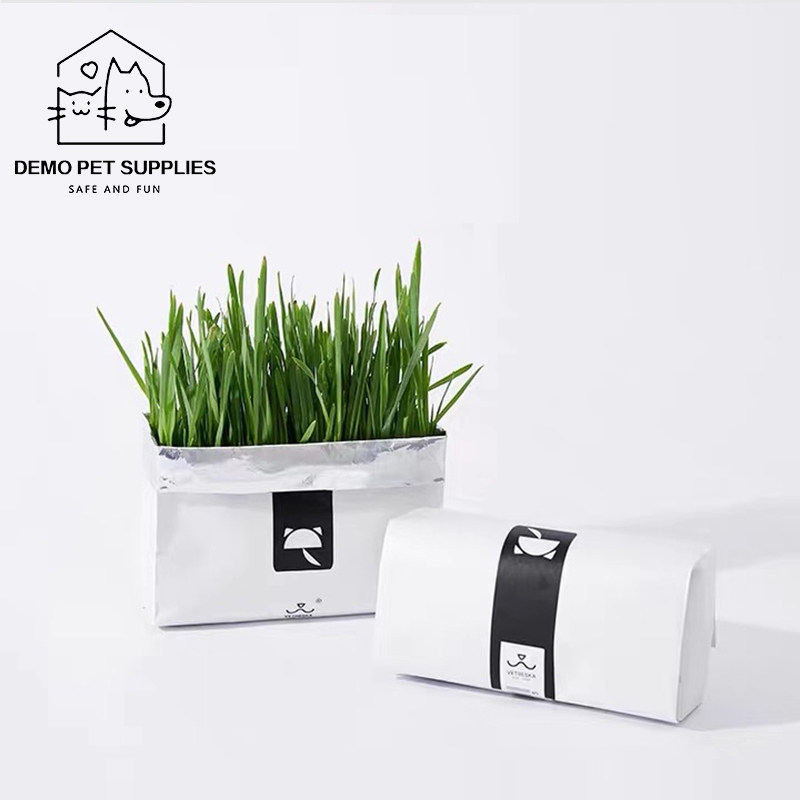 Cat grass soilless hydroponic seeds lazy planting kit cat mint grass potted cat snack kitten supplies 3 packs