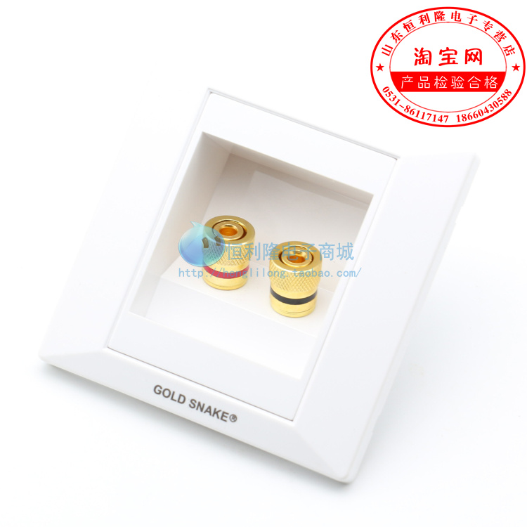 Snake King double-hole speaker panel Two-bit audio panel Built-in Type 86 horn wire junction box two 2-bit wall plug