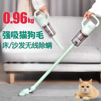 Wireless Household Pet Hair Extractor, Handheld Lightweight Vacuum Cleaner, Small, Powerful, High Suction, Special for Carpets and Cats