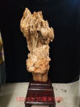 Green Burmese tree fossils strange stones Jade ornamental stones raw stone ornaments Stone Gifts Collection