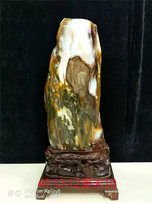 Boutique Myanmar tree jade tree fossil strange stone Jade sightseeing stone Rough stone decoration Stone gift collection