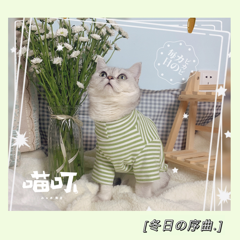 (Meow Ding) Winter の prelude ~ striped pet kitten clothes to keep warm in winter and prevent Mao Ying short spring, autumn and winter