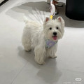 大波教育