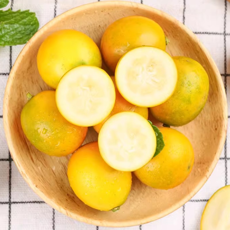 脆蜜脆皮金柑广西融安金桔新鲜水果蜜桔子现摘现发3斤5斤9斤