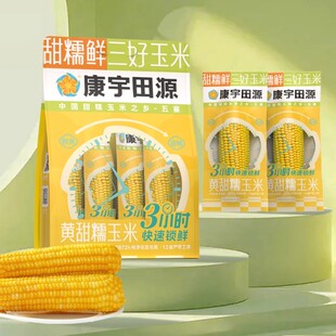 康宇田源25年糯黄玉米棒220g真空装低脂香甜