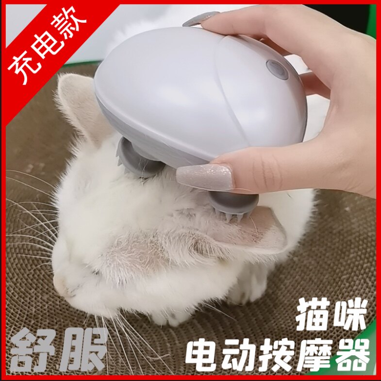 辰心妍