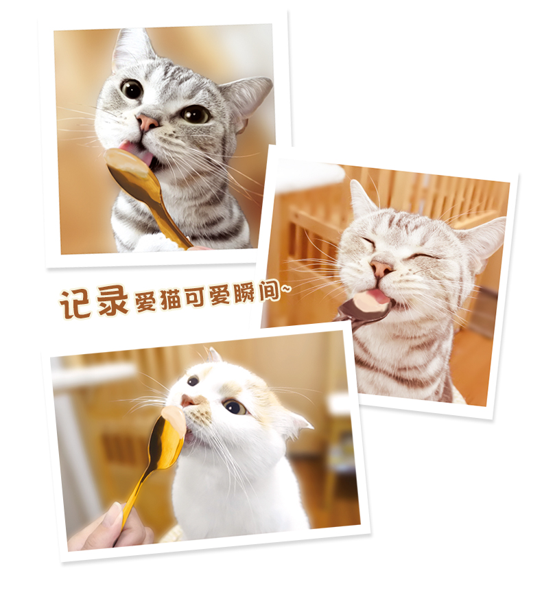 Nhật Bản Doug Man Cat Dew 70g Gà Hương vị Cá hồi Hương vị Milky Catfish Cat Liquid Creamy Snacks thức ăn cho mèo 2 tháng tuổi
