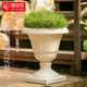 Alice flowerpot resin Roman European cup-shaped succulent pothos plastic imitation ceramic Alice Nordic iris