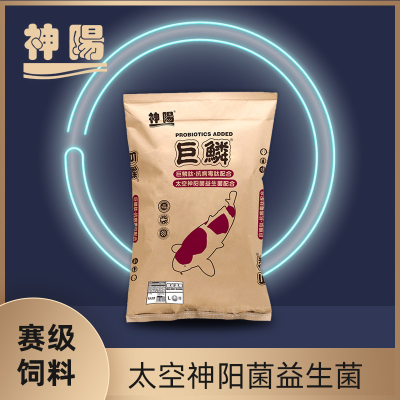 Shenyang giant scales are bred to increase the body, three-color Yangguba, high-protein koi fish floating, not muddy water fish feed grain