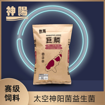 Shenyang giant scales breed body-increasing three-color Yangguba high-protein koi fish that floats and does not float in muddy water fish feed grains