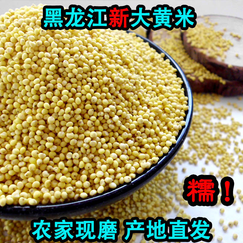 21 Xinmi Northeast rhubarb rice glutinous millet sticky yellow rice farmers yellow glutinous rice sticky yellow rice millet rice dumplings rice dumplings rice dumplings rice
