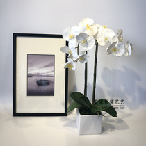 Simulation Phalaenopsis floral set new Chinese modern model room living room study coffee table flower art potted ornaments