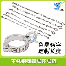 316 stainless steel parrot anklet poultry peacock duck goose open buckle ultra-light 304 anklet free engraving customization