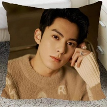 Wang Hedi customized pillow Xiao Duo Oriental Green Little Orchid skin-friendly velvet pillow double-sided printed pillow blanket dual use
