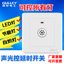 86 Concealed second-line led lights sound and light control time-lapse switch panel Property building Road voice-controlled inductive switch home
