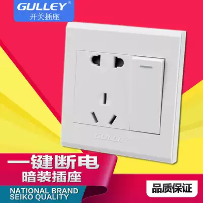 Type 86 one-open five-hole single-control socket panel with switch Wall dark wire household power concealed installation two or three plugs 5 holes
