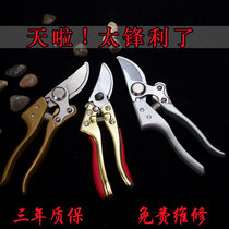 He Quan Hui pruning scissors Fruit tree German household Japan strong pruning labor-saving branch scissors imported gardening forest