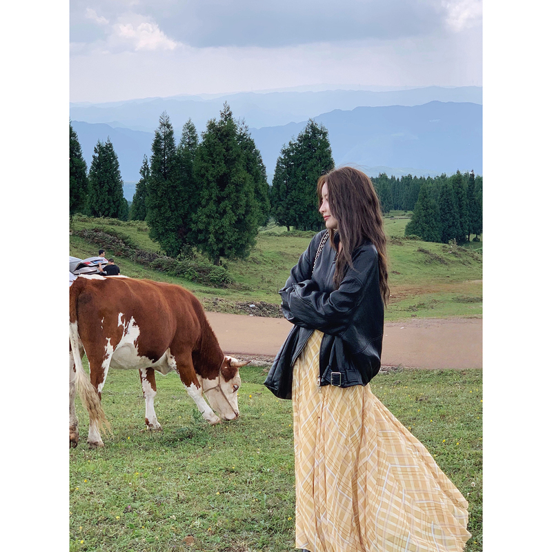 Amlus Akin Two-Tone Soft Protein Leather Casual Leather Jacket