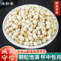Changbai Mountain Wild Fritillaria Northeast Sulfur-Free Smoked Pesticide-Free Flat Fritillaria Can Be Powdered 250g Non-Sichuan Fritillaria