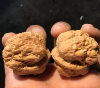 Pure natural wild play walnut Golden Toad pimple bag Toad head lion head 42 old tree specials