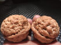 Wenplay walnut iron walnut pure wild Toad head pimple bag blood unicorn lion head official hat tiger head special