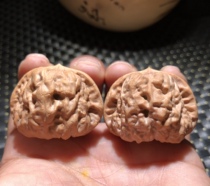 Text to play walnut Beijing Yanqing Generation Old Tree Goose Bag Golden Toad Head Lion Head 40 Dimensions