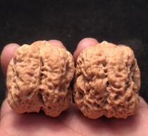 Wenwen walnut hundred years old tree pure wild Toad head stuffy lion head iron walnut Southern Xinjiang stone four buildings